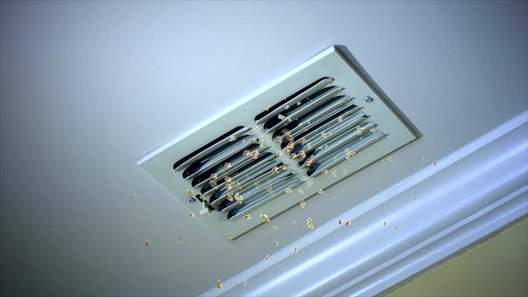 Best Home Air Vent Cleaning  in Griffith, IN