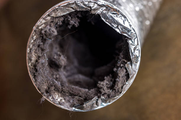 Air Duct Mold Removal in Griffith, IN